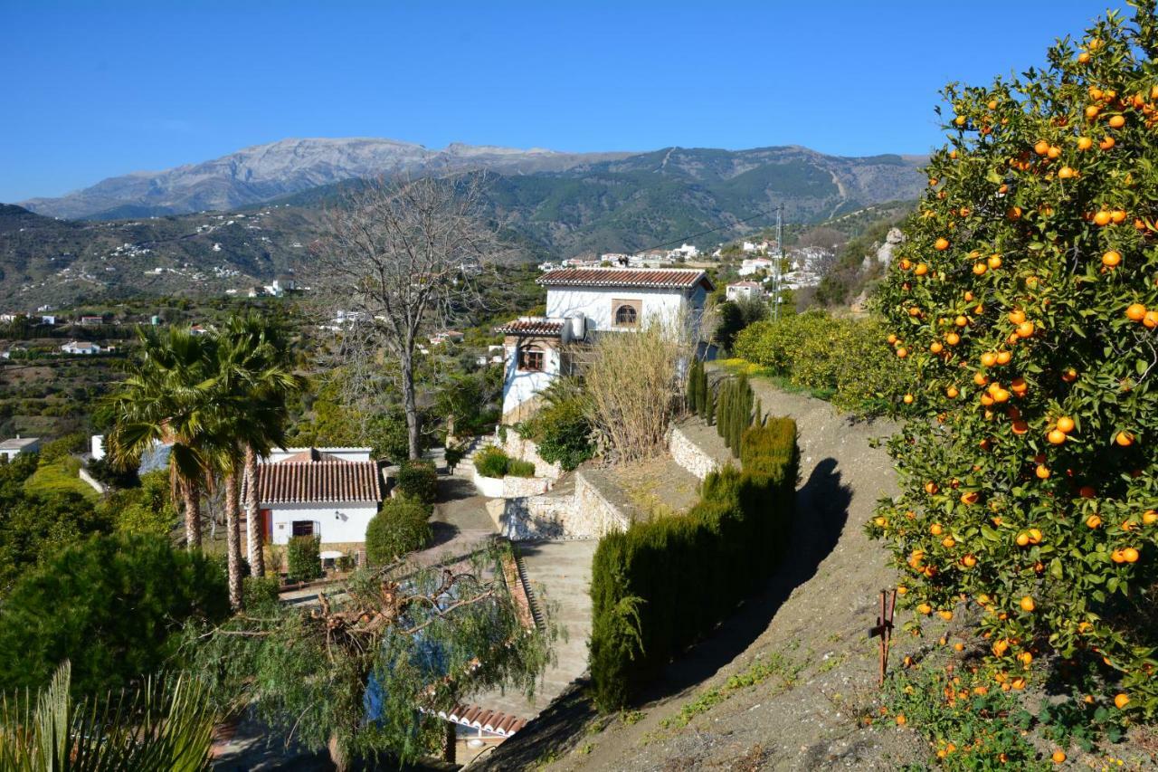 Cómpeta Finca Maromaヴィラ エクステリア 写真