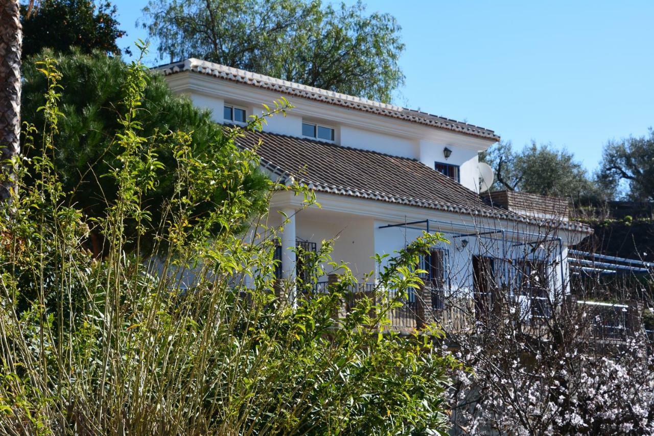 Cómpeta Finca Maromaヴィラ エクステリア 写真